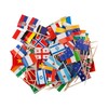 Tabanzhe Different Nations Toothpick Flag-100PCS Country Cocktail Stick Flag Food