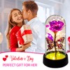 Glass Rose in Glass Dome, Light Up Flower, Eternal Roses