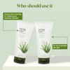 [The Face Shop] Herb Day Cleansing Foam, Aloe