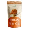 Hongo Cordyceps Orgánico En Polvo 100 G