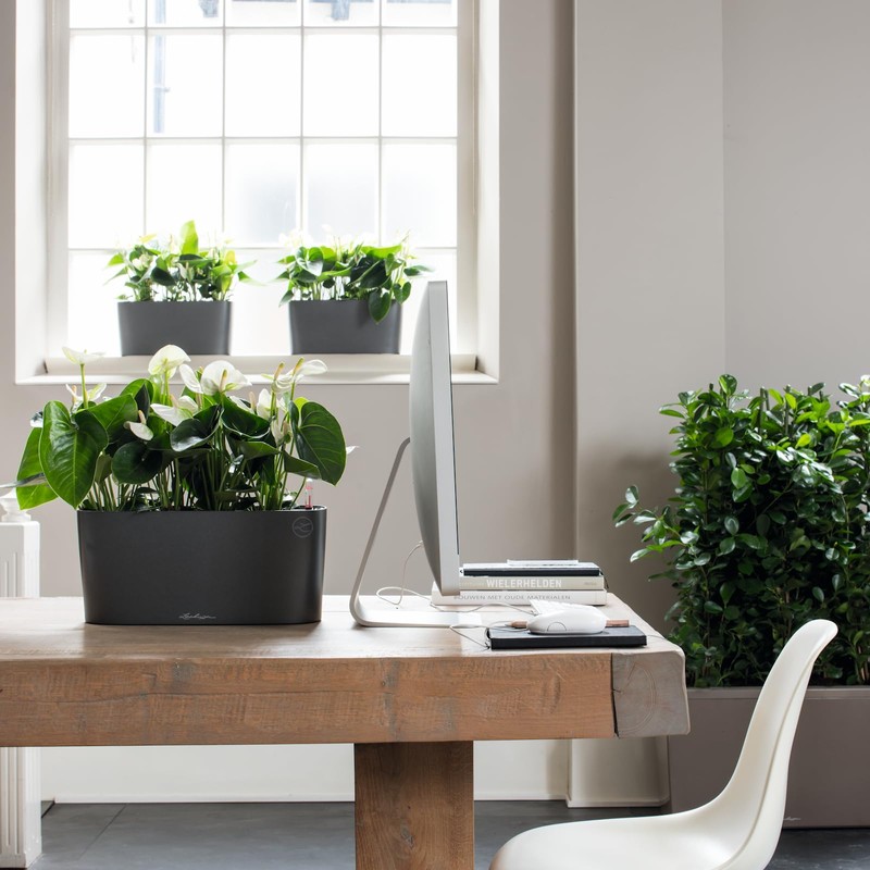 Lechuza 15467 Delta 10 屋内外用 12インチ x 4インチ x 5インチ