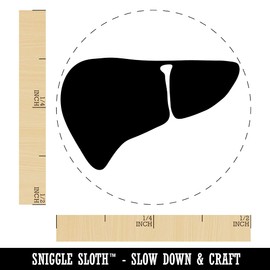 Liver Organs Anatomy Body Part Self-Inking Rubber Stamp Ink Stamper for Stamping Crafting Planners - 1/2 Inch Mini - Brown Ink