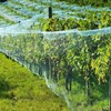 Bird Protection Net, Bird Net, Garden Net, Tight Mesh, Pond