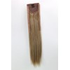WIG ME UP - YZF-TS18-16 Hairpiece Pontail Pigtail extension slim