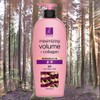Elastine Hair Care Volume Shampoo Set Volume Up Marine Collagen Tangle Volume Shampoo 1ea 680ml / 엘라스틴 헤어케어 볼륨샴푸세트 볼륨업 마린콜라겐 탱글볼륨 샴푸 1개 680ml