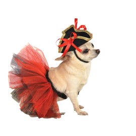 Rubie's Bone Tutu Dog Costume