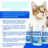 Kidney Restore Dog and Cat Kidney Support, Canine Feline Renal