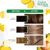 Garnier Color Naturals - 7.1 Ash Blond