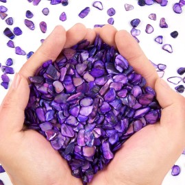 Small Natural Crushed Shells for Crafts About 2LB (900g/31.74oz) DIY Beaching Wedding Decoration Vase FillersColor: Purple, Size: 2LB (900g/31.74oz)