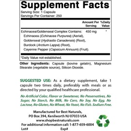 Best Naturals Echinacea Goldenseal 450 mg 250 Capsules (Pack of 3)