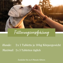 tierlieb Herz-Kreislauf Tabletten | Für Hunde | Mit Carnitin & Taurin | 180 Tabletten