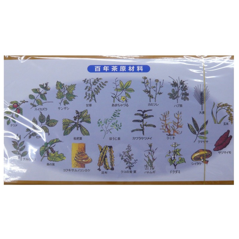 Seicha Hyakunen Honpo Hyakunen Green Tea Box, 0.2 oz (7.5