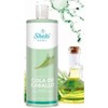 Shampoo Cola De Caballo Sheló Nabel