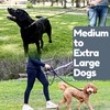 6 Foot Dog Leash, Two Extra Padded Handles, Locking Carabiner