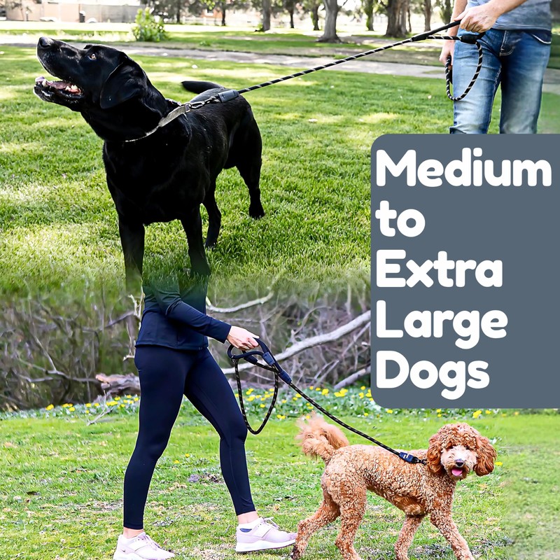 6 Foot Dog Leash, Two Extra Padded Handles, Locking Carabiner