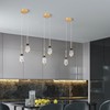 BBLLWJ Modern Black Gold Pendant Light Dimmable LED Ceiling Light