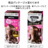Blaune Bubbles Color Hair Dye