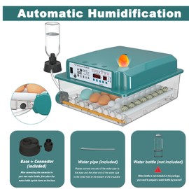 CoInceptus Incubators for Hatching 36 Eggs with Automatic Egg Turning and Humidity Monitoring - 4 Automatic Incubation Modes for Chicken Duck Goose Pigeon