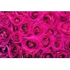 Tónico facial agua de rosas transparente 5 L | hidratación