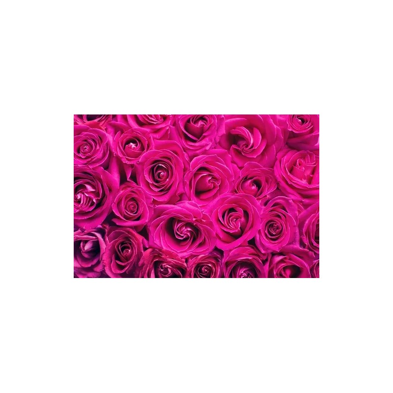 Tónico facial agua de rosas transparente 5 L | hidratación