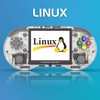 RG353PS Handheld Game Console Linux OS 3.5-inch IPS Screen RK3566