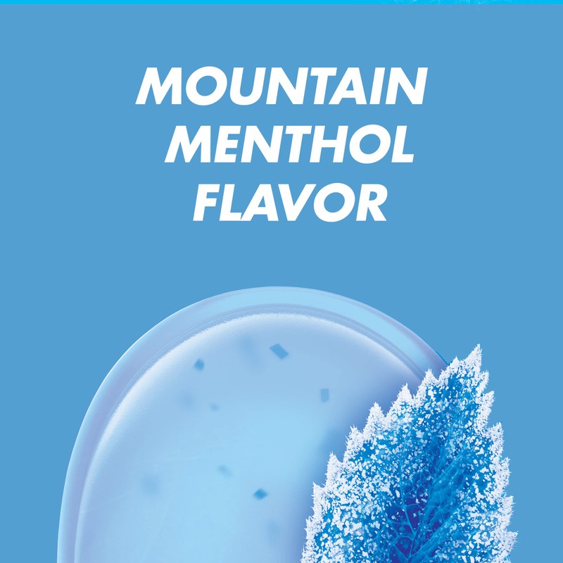 HALLS Relief Mountain Menthol Sugar Free Cough Drops, Economy Pack,