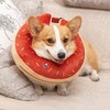 WZDK Collar Inflable de Recuperación para Perro,Ajustable Collar de Protección