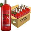 12 Shampoos Extracto De Chile 1l Fortalecedor Vivonatural