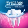 Pasta Dientes Oral Encías Detox Protección Completa