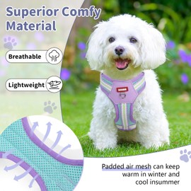 NCMAMA No Pull Dog Harness and Leash Set,Adjustable Dog Vest Harness for Small Medium Large Size Dogs,Breathable and Soft Escape-Proof Puppy Harness with 2 Buckles