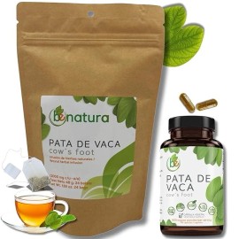 BEXPERTSUSA Pata de Vaca Té (Cow's Foot Tea)–24 Bags–100% Natural Infusion-Capsula Pata Vaca