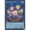 Yu-Gi-Oh! Card - Holy Engraving of the Celestial Sphere (Super Rare) QUARTER CENTURY ART COLLECTION (QCAC) | Link & Effect Monster Light Attribute Dragon Super Rare
