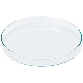 KING SCIENTIFIC 7H-2HV7-WX16 200MM GLASS PETRI DISH