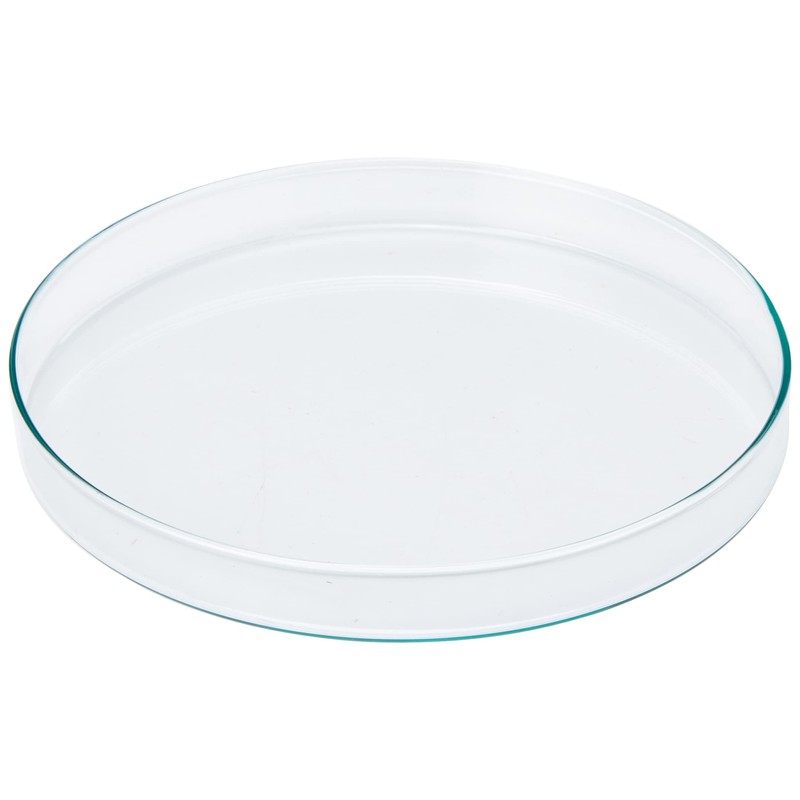 KING SCIENTIFIC 7H-2HV7-WX16 200MM GLASS PETRI DISH