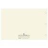 BookFactory Ledger Pad/Large 13 Column Accounting Ledger Columnar (Thirteen Columns)