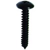 DAIDOHANT 10185595 Black Self Tapping Screw [Truss Head] (Nominal Diameter
