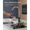 FORIOUS Kitchen Faucets with Pull Down Sprayer, High Arc Single