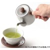 Miyazaki Seisakusho Tea Kettle with Tea Strainer, Not for Direct