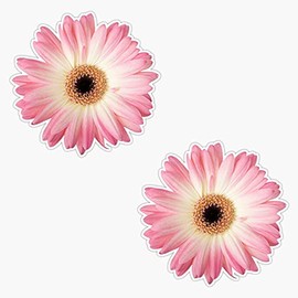 EB Store Pink Daisies Vinyl Waterproof Sticker Decal Car Laptop Wall Window Bumper Sticker 5''