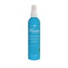 Hagerty Silversmiths' Pump Spray Polish 8 Fl Oz (Pack of