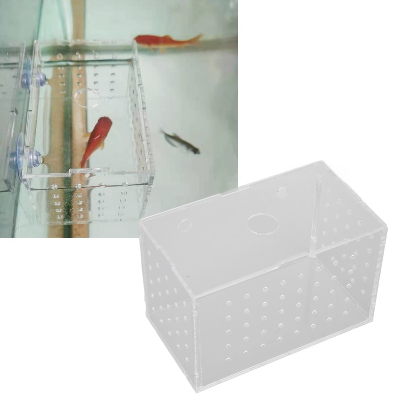 Fish Breeder Box High Transparency Acrylic Hatchery Incubator Tank with