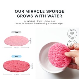 AOA Studio 100-Count Compressed Facial Sponges 100% Natural Cosmetic Spa Sponges for Facial Cleansing, Exfoliating Mask, Remove for Makeup, Dead Skin, and Dirt (100 counts, Pink)
