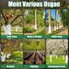 Singhoow Tree Whitewash Paint Tree Trunk Paint Kit, DIY Trees