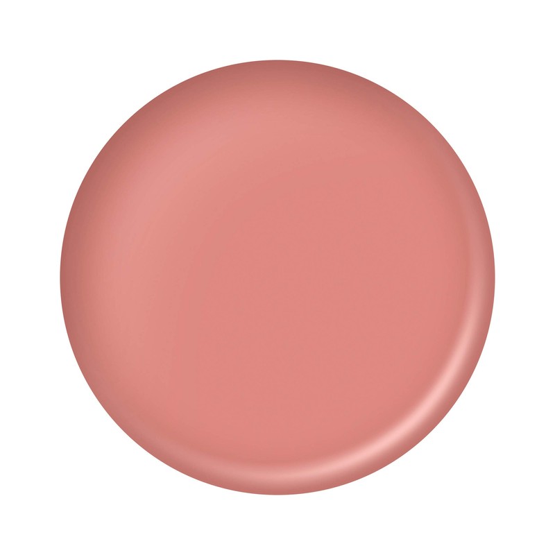 Amritara Damask Rose Cheek Creamy CC1 Bloom Pink 0.1 oz