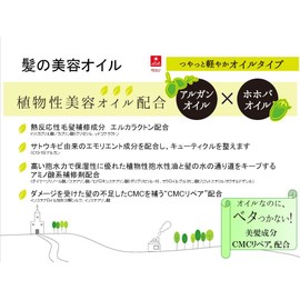 Veil Plus Hair Beauty Oil 2.4 fl oz (60 ml)