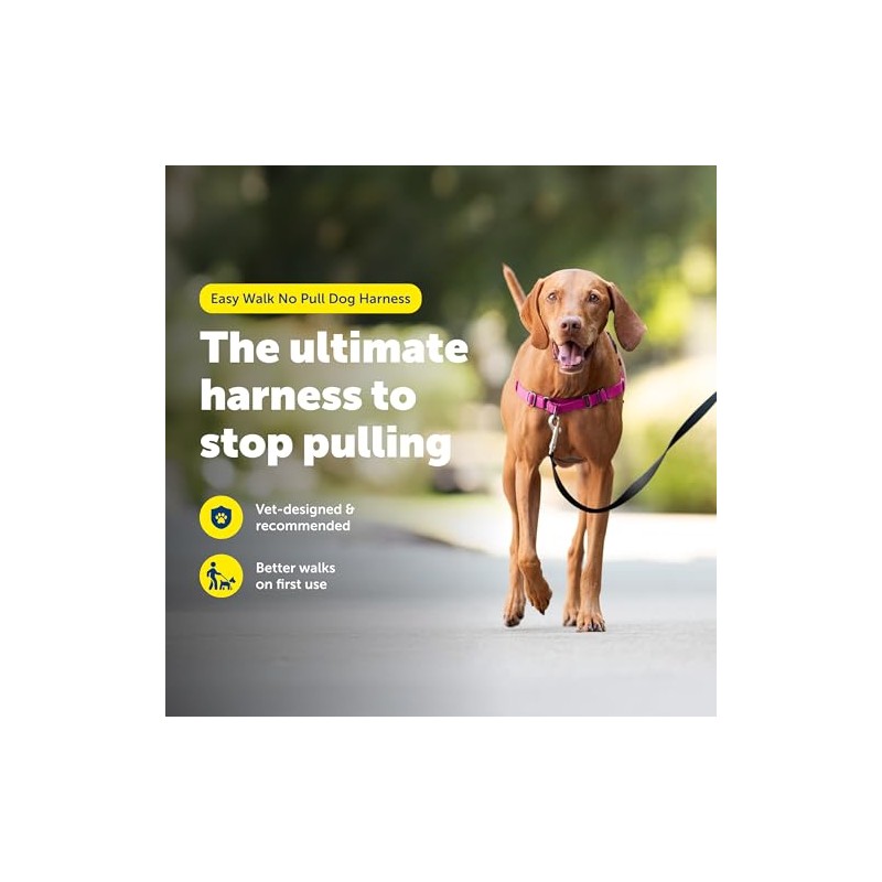 PetSafe Easy Walk Arnés Antitirones para Perro Frambuesa/Gris Talla M