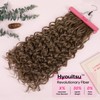 REECHO Curly Hair Extensions, 4PCS 24 inch Clip in Hair