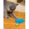 Turkey Cat Watamote Whitening Toy 01 Minnow