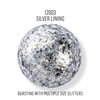 FolkArt Glitterific Pop Acrylic Craft Paint, Silver Lining 2 fl