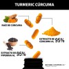Turmeric Cúrcuma Extracto Raíz Estandarizada Pimienta Negra Curcumina Curcuminoides Suplemento